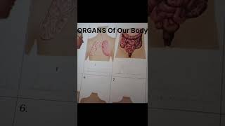 What are organ body Adityakumar [upl. by Adnylem]