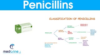 Penicillins classification MOA indications  side effects pharmacokinetics [upl. by Anidan]