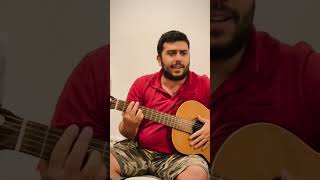 Volare  Gipsy Kings cover by Perch Darbinyan [upl. by Annez]