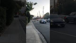 Palo Alto Caltrain crossing West Meadow Avenue [upl. by Rosenkranz]