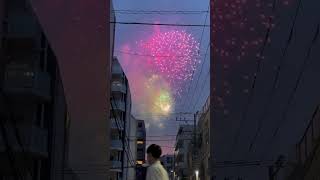 Sumidagawa fireworks [upl. by Bak]