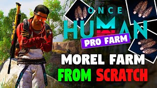 3 Best Ways to Get Morel Seeds  Morel Farm From Scratch  ONCE HUMAN [upl. by Harrie579]