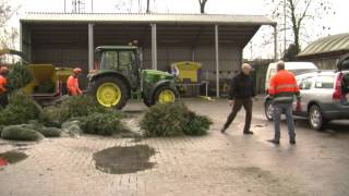 Kerstboom levert Borselse kinderen zakcentje op [upl. by Ahsaek464]