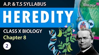 Class 10 heredity and evolution in Telugu 10th Biology Chapter 8  AP amp TS Syllabus  Part2 [upl. by Suoicul406]