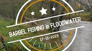 Barbel Fishing in FLOODWATER [upl. by Moselle375]