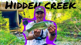 Fly Fishing HIDDEN Urban Creek LOADED [upl. by Ayotac]