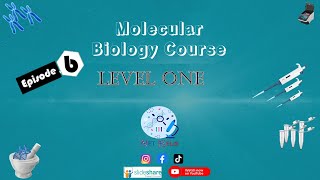 73 Magnetic beadbased Nucleic Acid Isolation practical molecular biology level 1 شرح بالعربي [upl. by Hamnet]