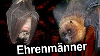 Fledermäuse die Ehrenmänner [upl. by Ztnahc144]