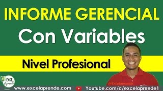 Crear informe gerencial con Variables  Excel Aprende [upl. by Aicilaanna]