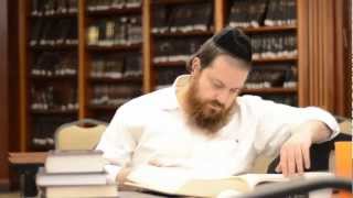 Shor Yoshuv  ShenemarEli Gerstner Music Video שאר ישוב מוסיקת וידאו [upl. by Wynny40]