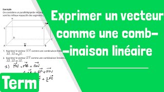 Comment exprimer un vecteur comme une combinaison linéaire dautres vecteurs [upl. by Spiegel]