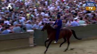 Terza prova  Palio di Siena 2 luglio 2024  SOGNO PALIO [upl. by Nitsew17]