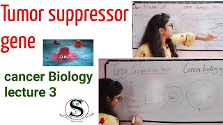 Tumor suppressor gene \ Anti Oncogene \ p53 gene \ Cancer Cell Biochemistry lecture 3 [upl. by Nore]