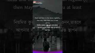 প্রতিদিন কোরআন পড়ার ফজিলত islamicvideo shorts viralvideo [upl. by Llenad]