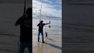 Crabbing Lesson How to reel in a Crab using a Crab Snare Oregon Coast Crabbing outdoors crab [upl. by Tihor]