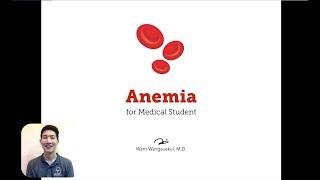 Anemia — Part 2 Hemolytic Anemia [upl. by Verne]