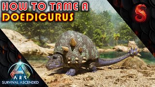 ARK SURVIVAL ASCENDED HOW TO TAME A DOEDICURUS [upl. by Ashelman364]