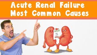 Acute Renal Failure Most common causes [upl. by Duleba608]