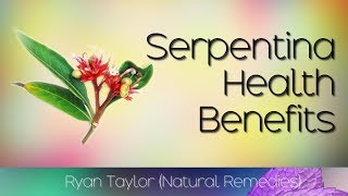 Serpentina Plant Health Benefits Serpentina Leaves [upl. by Yclehc]