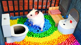 Hamster Escapes the Awesome Maze for Pets in real life 🐹 The Best Hamster Challenges [upl. by Zelle15]