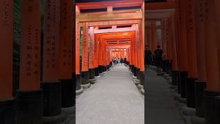 Kyoto Japan Fushimi Inari Kinkakuji Kiyozumi Dera Sannenzaka Ninenzaka Yasaka Shrine [upl. by Nosnah]