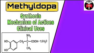 Synthesis of Methyldopa  Mechanism of Actions  Medicinal chemistry 5th sem B Pharm [upl. by Esiom54]