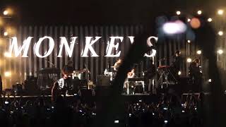 Arctic Monkeys feat Miles Kane  505  Rockwave 2018 [upl. by Mikol728]