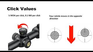 How To Adjust A Rifle Scope [upl. by Kumler973]