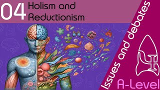 Holism and reductionism  Issues and debates ALevel Psychology [upl. by Zilla144]