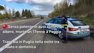 TG7 Basilicata Senza patente in auto contro un albero morto un 17enne a Foggia [upl. by Godewyn366]