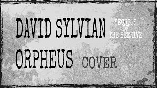 ORPHEUS DAVID SYLVIAN GUITAR COVER [upl. by Aerbas]