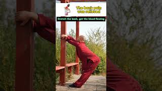 Follow Along Practical Back Stretching Exercises for Tension Relief kungfu traditionalkungfu [upl. by Miharba]