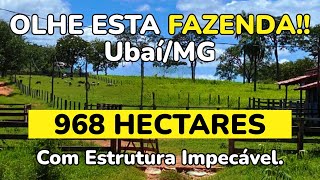 Uma oportunidade de investimento em fazenda no norte de Minas Gerais [upl. by An230]