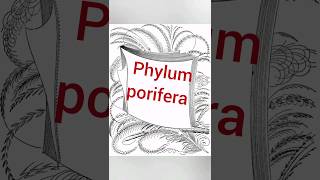 phylum porifera💗  shorts [upl. by Aissila]