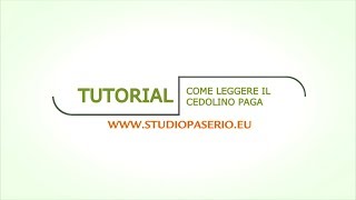 Tutorial  Come Leggere il Cedolino Paga [upl. by Clothilde443]