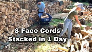 Stacking Frenzy 8 Face Cords Of Firewood Today Does Poplar Make Good Wood For Burning [upl. by Barnaby328]