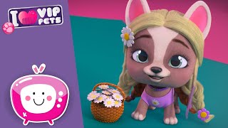 🤞🌘 THE ECLIPSE WISH VIP PETS 🌘🤞SPRING Vibes 🌺🌼 VIP PETS 🌈 NEW EPISODE 💇🏼✨ Videos for KIDS in English [upl. by Sayers595]