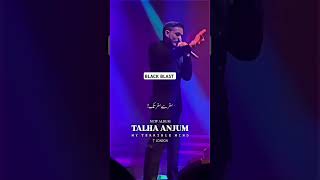 TALHA ANJUM XTALHA YUNUS newsong rap hiphop trending shorts youtubeshorts talhaanjum edit [upl. by Crispa]