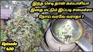 கல்பாசி மூலிகை மசாலா Kalpasi health benefits black stone flower  kalpasi  அரிய வகை கருங்கல் பாசி [upl. by Aroved]