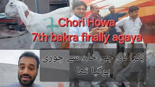 Bakra chori hogaya tha  Mera 7 bakra finally agaya  DG Khan se janwar chori [upl. by Eiznekcam]