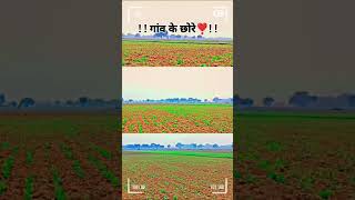 Dessi balak gavan ke ham 🌄🌄 please like share and comment kro bhai meri video per 🙏🙏🙏🙏🙏 [upl. by Allekim488]