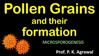 Pollen grain  microspore formation Reproduction in flowering plant  Class 12 Chapter 2 Video 4 [upl. by Korella972]