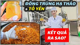 Đây là Lý Do KT Food Về Việt Nam lần Này Quá Trình Làm Ra Nước Uống Bổ Dưỡng Từ Tổ Yến Đông Trùng [upl. by Rockefeller537]