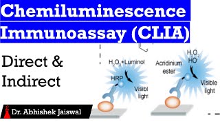 Chemiluminescence ImmunoassayCLIADirectIndirect [upl. by Atirihs]