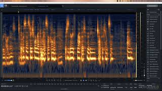 RX 8 Introduction amp Spectrogram Basics [upl. by Lledraw]