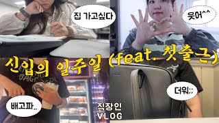 vlog 직장인 브이로그  신입의 업무 적응기  해야할 일이 계속 늘어나네 [upl. by Elconin18]