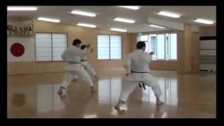 JKA Karate  Tanaka Masahiko Shihan  Hombu Dojo Instructors training [upl. by Conlan]