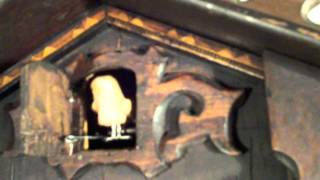 Cuckoo Clock Overhaul [upl. by Aneev65]