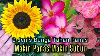 SEMAKIN PANAS SEMAKIN SUBUR  9 JENIS TANAMAN HIAS BUNGA YANG TAHAN PANAS MATAHARI [upl. by Chong799]