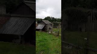 SUNDAY LUNCH  AT BEAMISH LIVING MUSEUM OF THE NORTH [upl. by Natica]